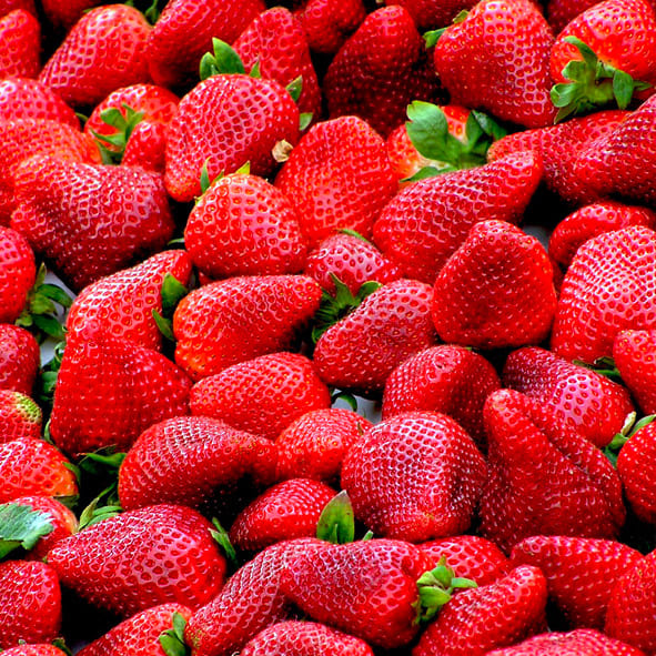 Saborar unas ricas fresas – GUANAJUATO, GASTRONOMÍA